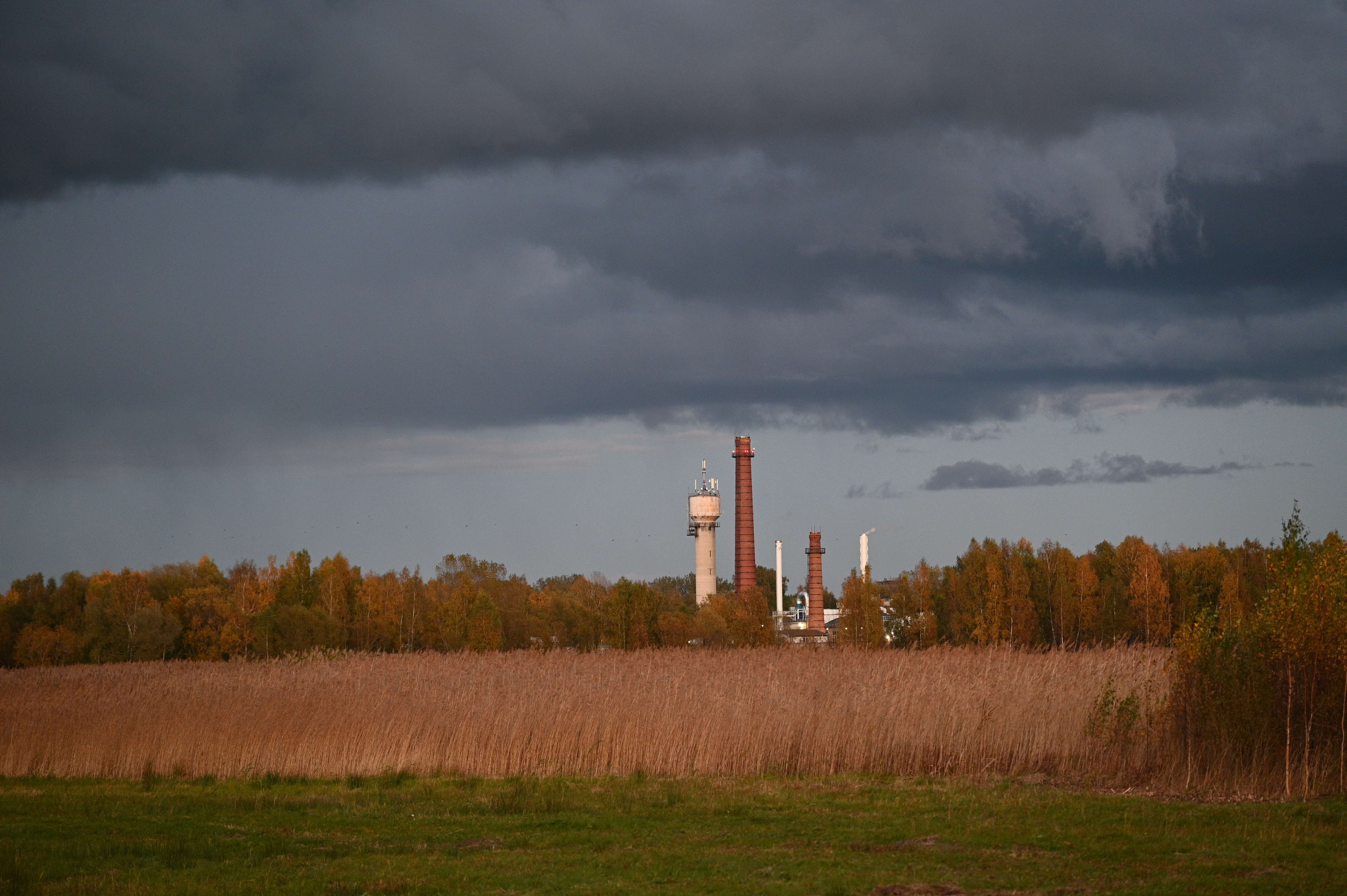 2025/10/18 - walk/DSC_0587.JPG